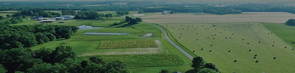 UT AgResearch | UT AgResearch