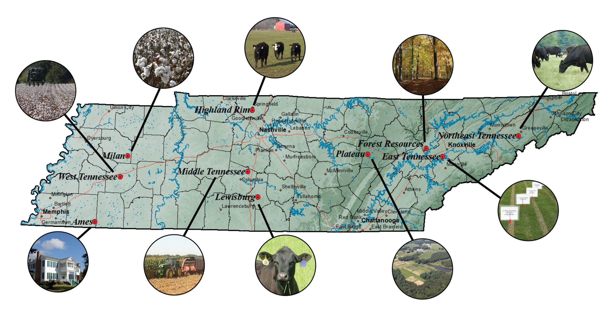 Natural Resources In Tennessee Map - Galina Christiane