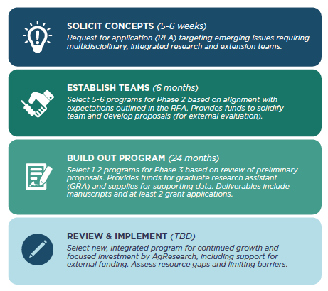 Chart showing SPRING Program phases