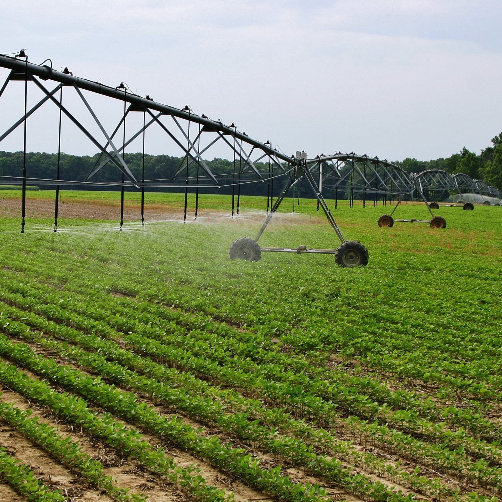 irrigation machinery being used to spray crop 