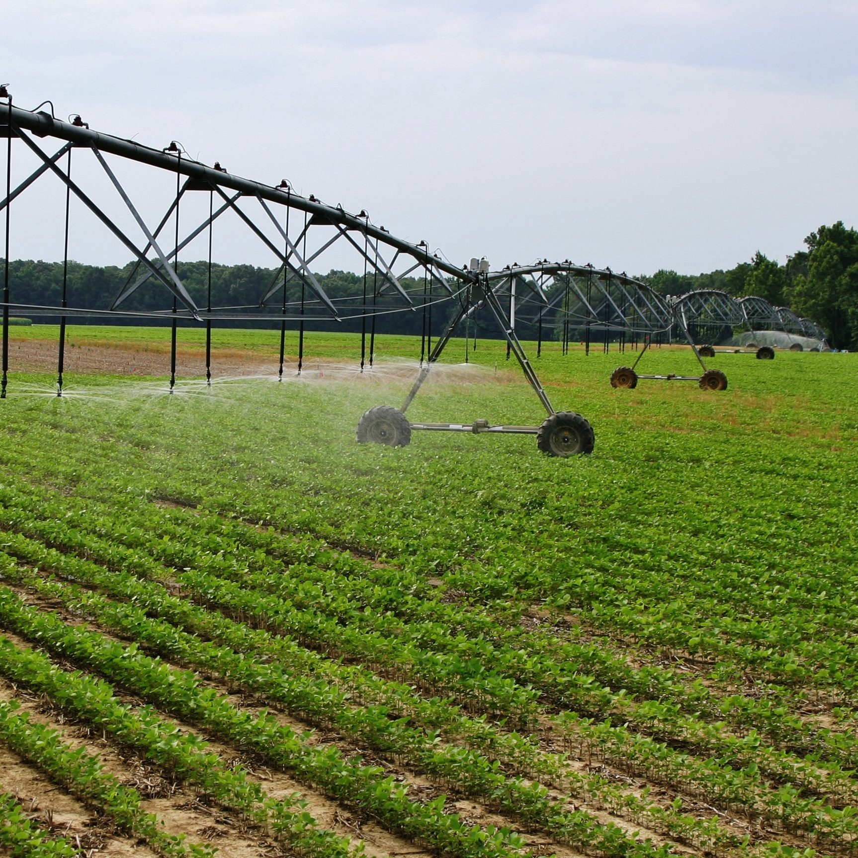 Irrigation equipment being used to spray crop 