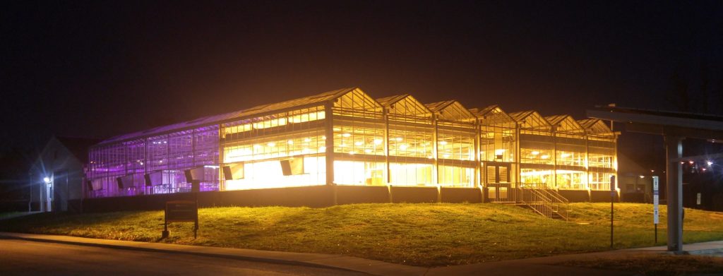 Varying lighting demonstrations in greenhouse