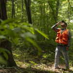 A forester uses a clinometer to measure tree height