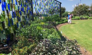 Visitors exploring plant collections at the bottle wall