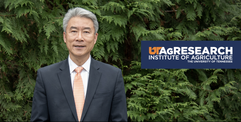 UT AgResearch Dean Xin photo header for IMPACTS Newsletter