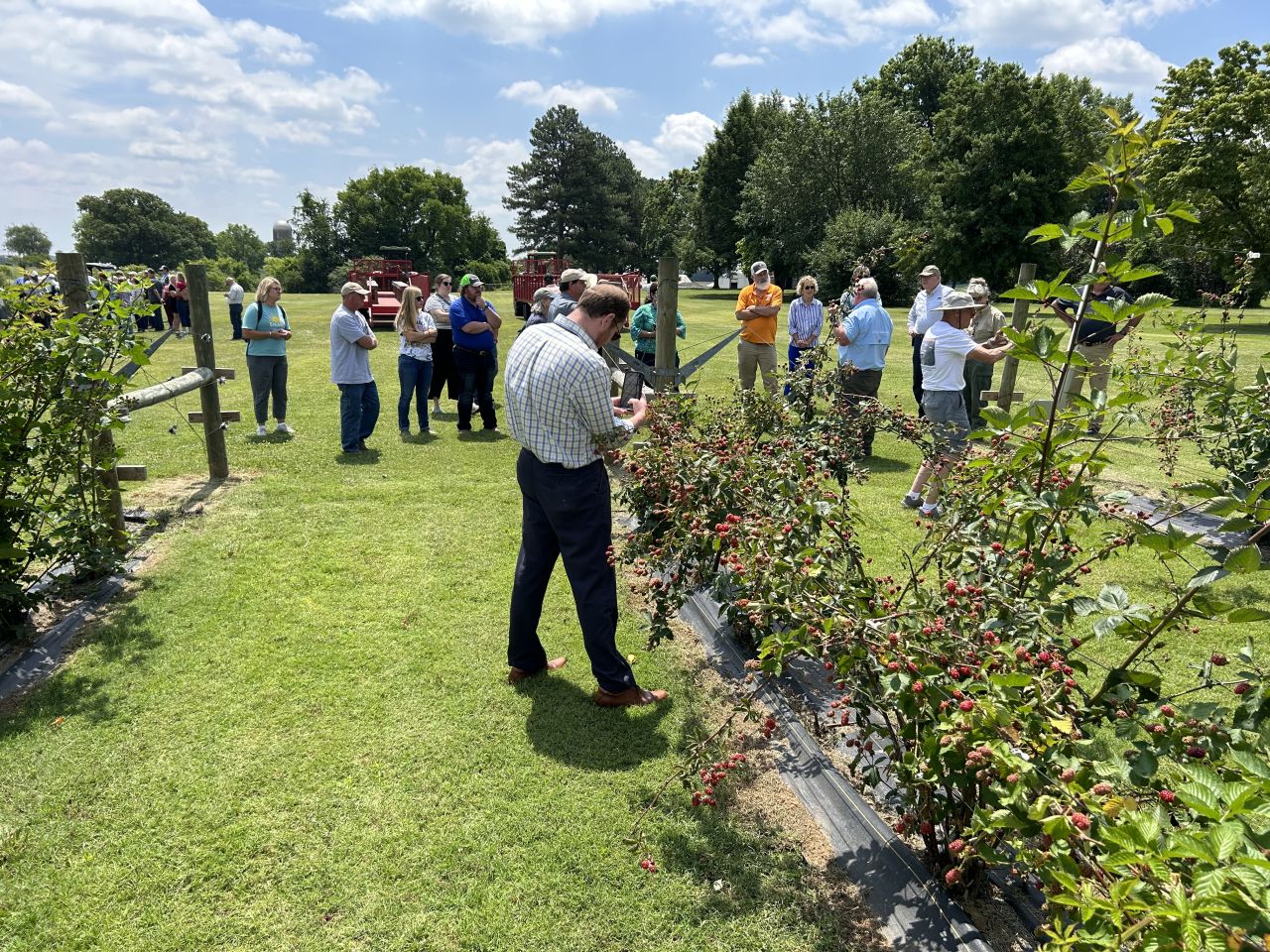 Fruits of the Backyard Field Day participants.