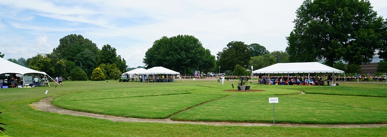 Program Tents at the 2023 Summer Celebration event