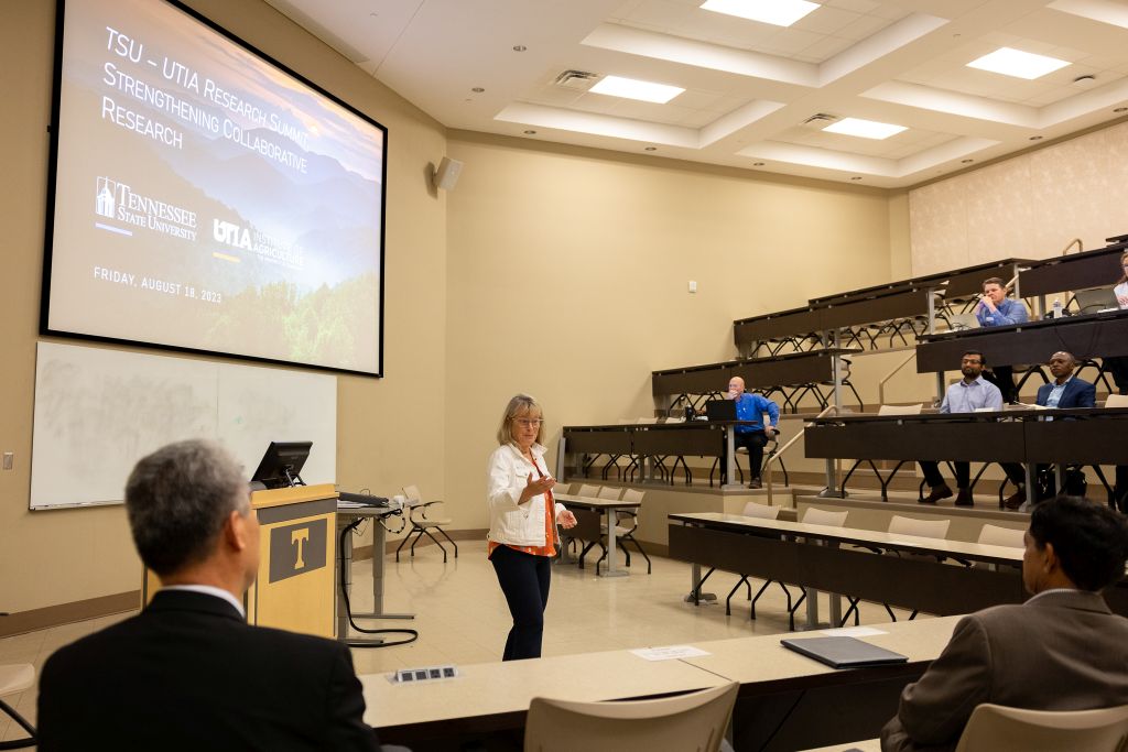Dr. Deb Crawford, Vice Chancellor for Research for the UT Office of Research, Innovation, and Economic Development, delivering presentation for the group.