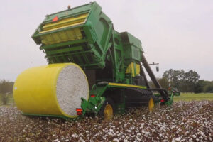 Cotton harvester at work in Milan, TN