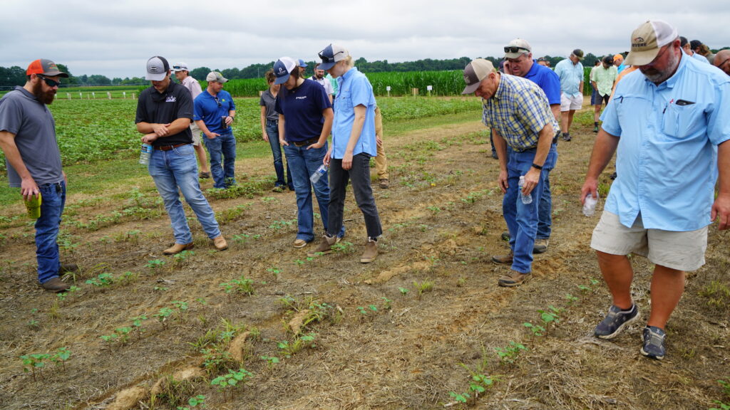 Participants at a Weed Tour examining research plots.