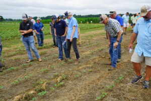 Participants at a Weed Tour examining research plots.