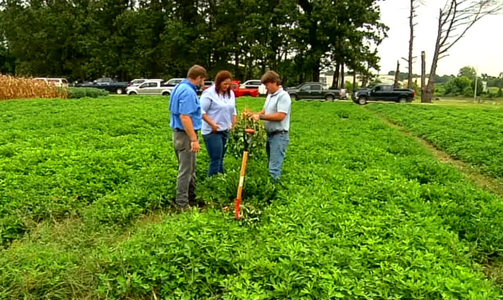 Staff examining crop plantings.