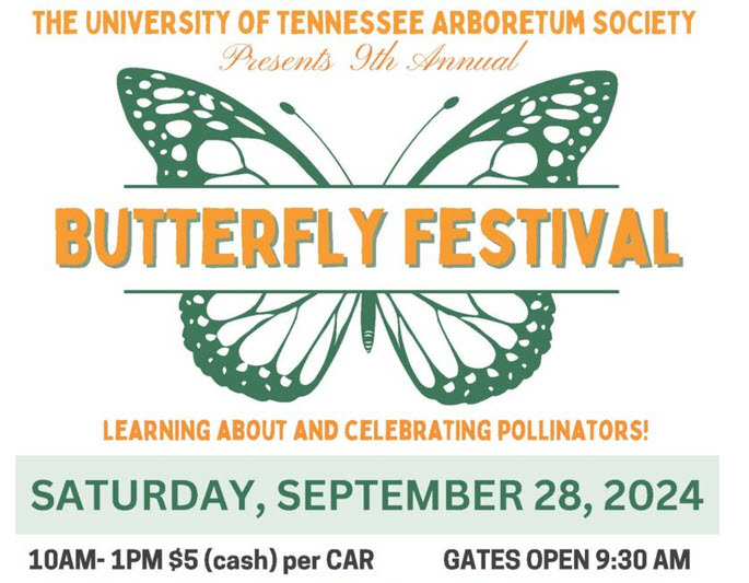 2024 Butterfly Festival logo