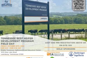 Poster image for the 2024 TN Beef Heifer Development Program Field Day