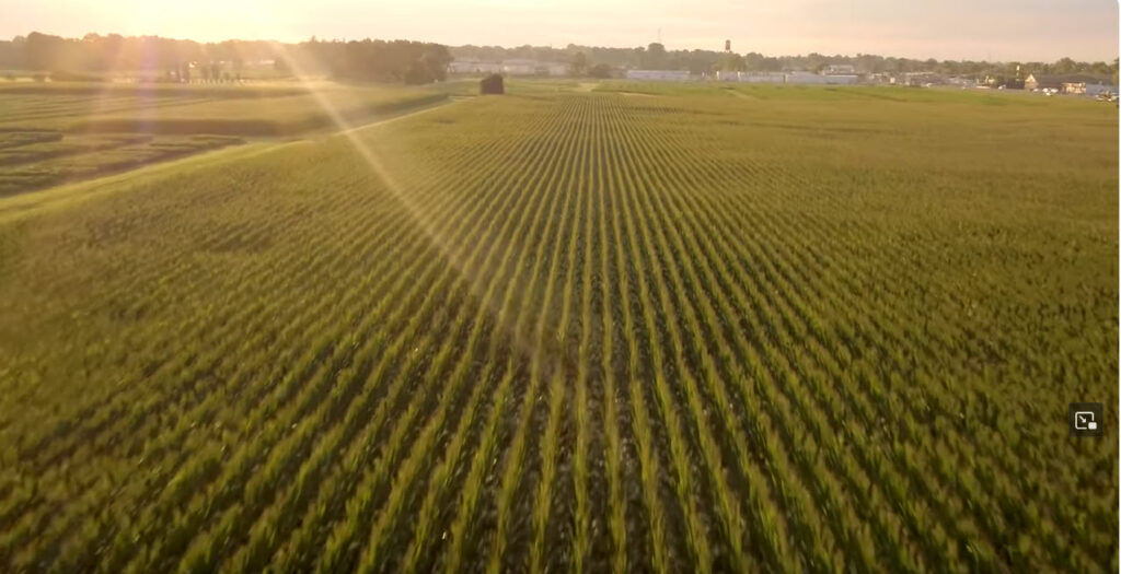 Cover photo for Real. Life. Solutions. for You video