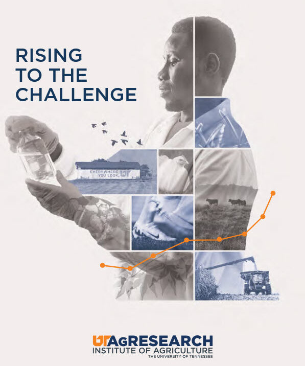Cover view of the 2024 Annual Report for UT AgResearch
