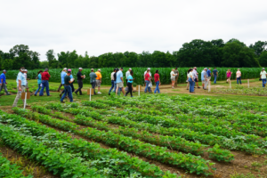 Participants viewing crops during an Annual Weed Tour event in Jackson.
