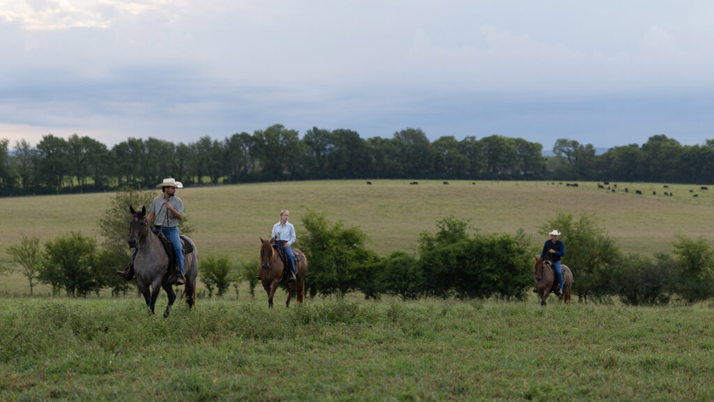 Three people riding horses in a large green pasture, with cows grazing in the hills behind them.