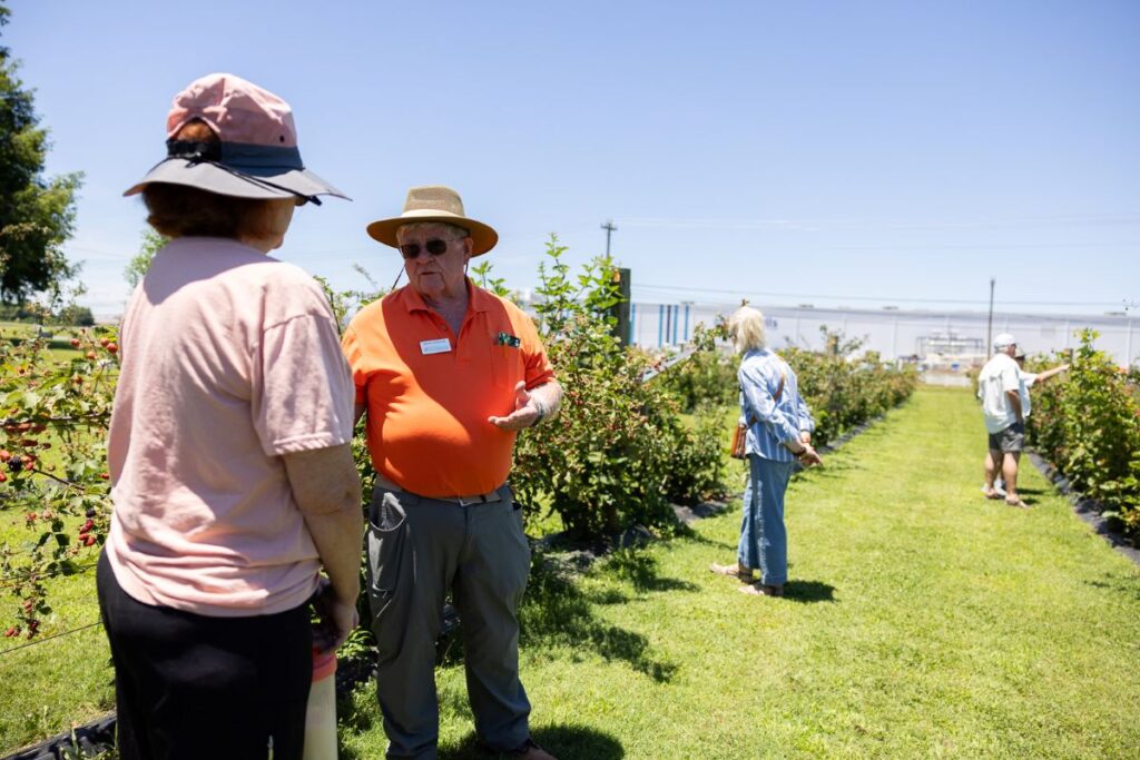 David Lockwood (orange shirt), renown professor and UT Extension fruit and nut specialist, discusses berry production with a field day visitor.