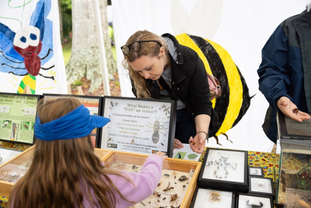A child looking at insect displays with an adult explaining the insects on display